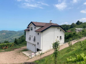 Ayvaz House